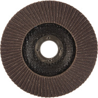 Круг лепестковый торцевой Profi 80 лепестков (125х22,2 мм; Р120) Cutop 70-125120