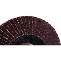 Круг лепестковый торцевой KK19XW КЛТ2 (125х22 мм; P40) БАЗ 960000028607