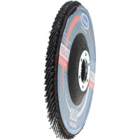 Круг лепестковый универсальный (125х22 мм,  А40, 14А) Tsunami КЛТ1 D96100000012540