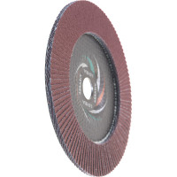 Круг лепестковый универсальный PROF (180х22 мм,  А80, 14А) Tsunami КЛТ1 D96100000P18080