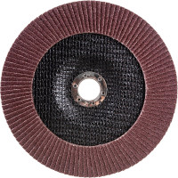 Круг лепестковый торцевой (180х22.23 мм; Р80) REDVERG 6624179