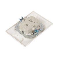 Двойная розетка с защитными шторками, белая 2П 10А 250В TDM ELECTRIC Таймыр SQ1814-0017