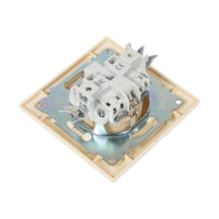 Розетка с защитной шторкой, слоновая кость 2П+З 16А 250В TDM ELECTRIC Лама SQ1815-0111