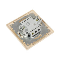 Двухклавишный выключатель TDM слоновая кость Лама SQ1815-0102