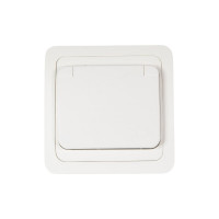 Розетка с крышкой, белая 2П+З 16А TDM ELECTRIC Валдай SQ1804-0011