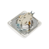 Розетка с крышкой, белая 2П+З 16А TDM ELECTRIC Валдай SQ1804-0011