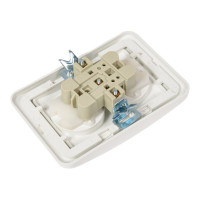 Двойная розетка c защитными шторками, белая 2П 10А TDM ELECTRIC Валдай SQ1804-0025