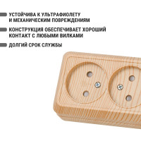 Розетка TDM ELECTRIC двойная 2П открытой установки с защитными шторками IP20 10А, сосна, серия "Ладога" SQ1801-0055
