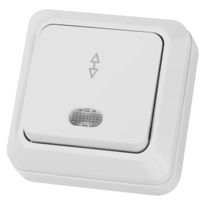 Переключатель на 2 направления TDM ELECTRIC 1-кл. открытой установки с подсветкой IP20 10А, белый серия "Ладога" SQ1801-0011