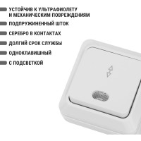 Переключатель на 2 направления TDM ELECTRIC 1-кл. открытой установки с подсветкой IP20 10А, белый серия "Ладога" SQ1801-0011