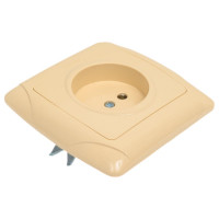 Розетка, слоновая кость 2П 10А 250В TDM ELECTRIC Онега SQ1805-0044