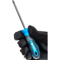 Набор шлицевых и крестовых отверток NORGAU NBS151-161-006 6 предметов 062211206