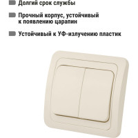 Выключатель слоновая кость 2-клавишный TDM ELECTRIC 10А серия "Валдай" SQ1804-0102