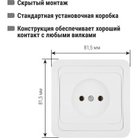 Розетка, белая 2П 10А TDM ELECTRIC Валдай SQ1804-0007
