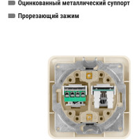 Розетка компьютерная RJ-45 + TФ (RJ-11) слоновая кость серия "Валдай" TDM ELECTRIC SQ1804-0115