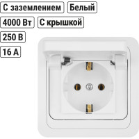 Розетка с крышкой, белая 2П+З 16А TDM ELECTRIC Валдай SQ1804-0011