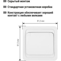 Розетка с крышкой, белая 2П+З 16А TDM ELECTRIC Валдай SQ1804-0011