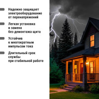 Устройство защиты от импульсных перенапряжений (основание) ОПС1 TDM ELECTRIC 2Р с контактом сигнализации 1НО SQ0201-0016