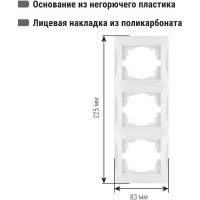 Трехпостовая вертикальная белая рамка TDM ELECTRIC Лама SQ1815-0034