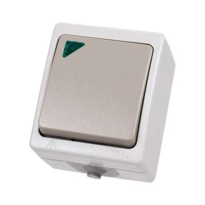 Проходной выключатель TDM ELECTRIC Вуокса ОП IP54 одноклавишный с подсветкой SQ1803-0005
