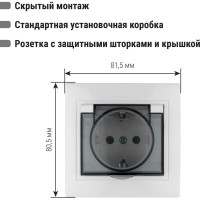 Розетка с защитными шторками и крышкой, белая 2П+З 16А 250В IP42 TDM ELECTRIC Таймыр SQ1814-0019
