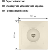 Телефонная розетка, слоновая кость RJ11 TDM ELECTRIC Таймыр SQ1814-0120