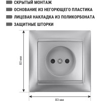 Розетка с защитными штораками TDM ELECTRIC серебристый металлик, 2П 10А 250В серия "Лама" SQ1815-0210