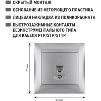 Розетка компьютерная RJ45 TDM ELECTRIC серебристый металлик, серия "Лама" SQ1815-0216