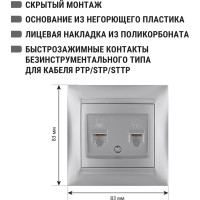 Розетка телефонная RJ11 + компьютерная RJ45 TDM ELECTRIC серебристый металлик, серия "Лама" SQ1815-0219