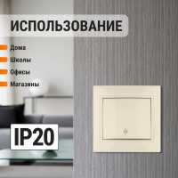 Проходной выключатель TDM ELECTRIC Таймыр слоновая кость одноклавишный SQ1814-0107