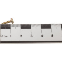 Саморез SWFS СВФС ШУЖ PN 3х12, 1000шт тов-018748