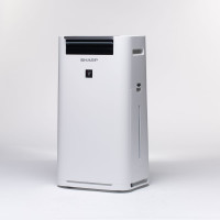 Воздухоочиститель с функцией увлажнения Sharp KCG41RW белый 64941908