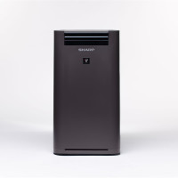 Воздухоочиститель с функцией увлажнения Sharp KCG41RH темно-серый 64941909