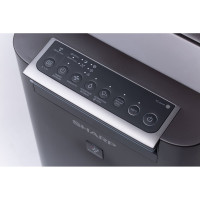 Воздухоочиститель с функцией увлажнения Sharp KCG41RH темно-серый 64941909