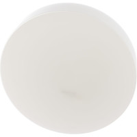 Светодиодный светильник ЭЛЕТЕХ табLEDка 250 led 24 m34 опал матовый 1030450334