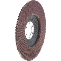 Круг лепестковый торцевой по металлу 125x22 мм, P60 SANTOOL 060203-125-060