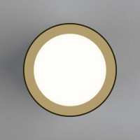 Стационарный светильник Elektrostandard DLR022 12W 4200K черный матовый a037518