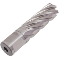 Кольцевая фреза HSS Rotorica, 20x55 RT.4215020
