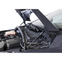Газовые упоры капота АвтоУпор для Ford Focus III 2011-2019, 2 шт., UFDFOC021
