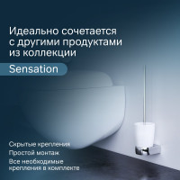 Стойка с туалетной щеткой AM.PM Sensation подвесная, хром A3033300