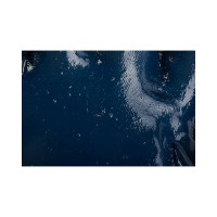 Нитриловые перчатки с короткой крагой Ампаро Нитрос КЧ (т) Размер 11 6405 (448575)-11