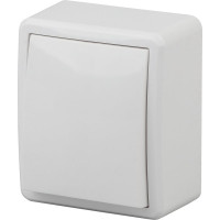 Переключатель ЭРА 11-1203-01 10АХ-250В, IP20, ОУ, Эксперт, белый Б0020660