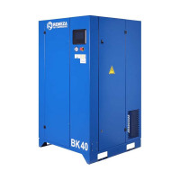 Винтовой компрессор Remeza ВК40-10 3018240