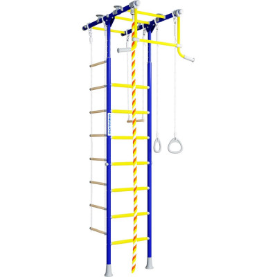 Детский спортивный комплекс для дома ROMANA R1 01.20.7.06.490.01.00-08   СГ000004599