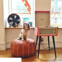 Напольный вентилятор Stadler Form Otto fan bamboo O-009R