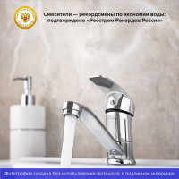 Смеситель для кухни с коротким поворотным изливом РМС SL85-004FBS-15