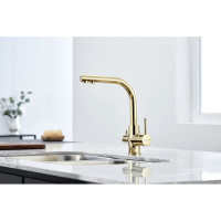 Смеситель для кухни Paulmark ESSEN золото Es213011-G