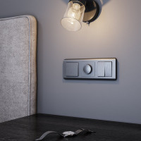 Двухклавишный выключатель WERKEL W1120004 графит рифленый a050756