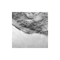 SKYWAY Чехлы сиденья меховые искусственные 2 предмета S03001001