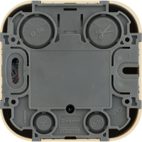 Розетка Legrand телефонная RJ11 Legrand Quteo IP20 накладной монтаж дерево 782274